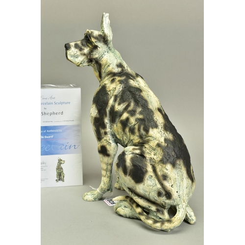 328 - APRIL SHEPHERD (BRITISH CONTEMPORARY) 'ON GUARD' a limited edition cold cast porcelain sculpture of ... 