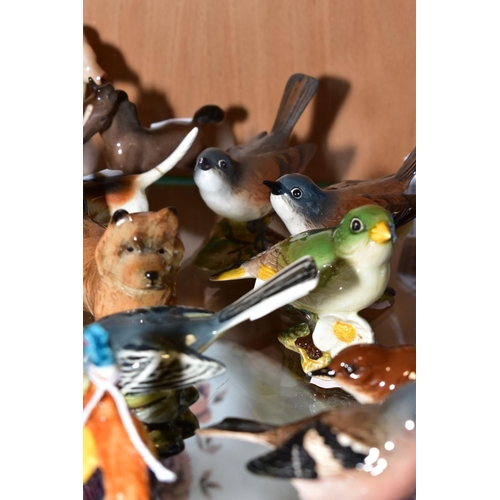 385 - A GROUP OF BESWICK BIRDS AND ANIMALS, Pheasant No. 767B, Chaffinch No. 991B, Wren No. 993B, Grey Wag... 