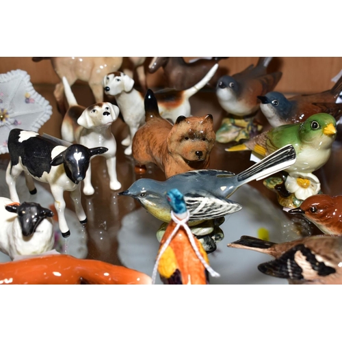 385 - A GROUP OF BESWICK BIRDS AND ANIMALS, Pheasant No. 767B, Chaffinch No. 991B, Wren No. 993B, Grey Wag... 