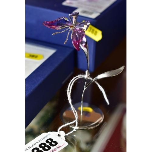 388 - A BOXED SWAROVSKI CRYSTAL PARADISE BUTTERFLY, AMARA FUCHSIA RAIN, with paperwork height 9cm 619371, ... 