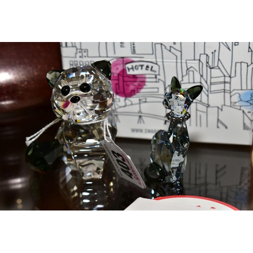 403 - TWO BOXED SWAROVSKI CRYSTAL LOVLOTS HOUSE OF CATS, 'Alexander' 1119917, height 7cm and 'Ines' 995008... 