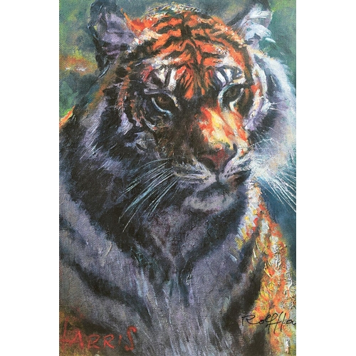 7 - ROLF HARRIS (AUSTRALIAN 1930), 'Tiger in The Sun', a Limited Edition print, 100/95, signed bottom ri... 