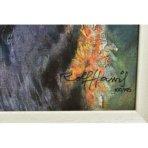 7 - ROLF HARRIS (AUSTRALIAN 1930), 'Tiger in The Sun', a Limited Edition print, 100/95, signed bottom ri... 