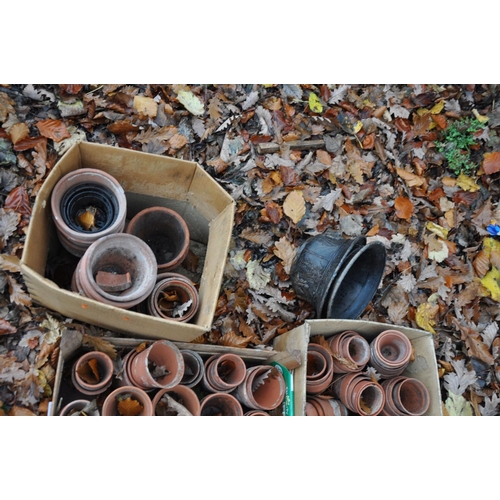 1002 - A COLLECTION OF VINTAGE TERRACOTTA POTS in four trays