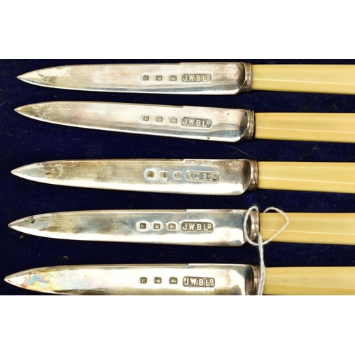 145 - A CASED SET OF SIX FRUIT KNIVES, each silver blade, hallmarked London 1935 J.W.B.Ltd, fitted to carv... 