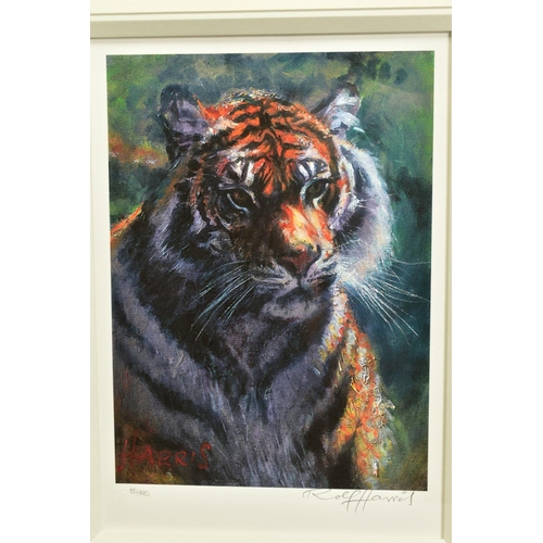 307 - ROLF HARRIS (AUSTRALIAN 1930) 'TIGER IN THE SUN', a limited edition print 85/195, signed to bottom m... 