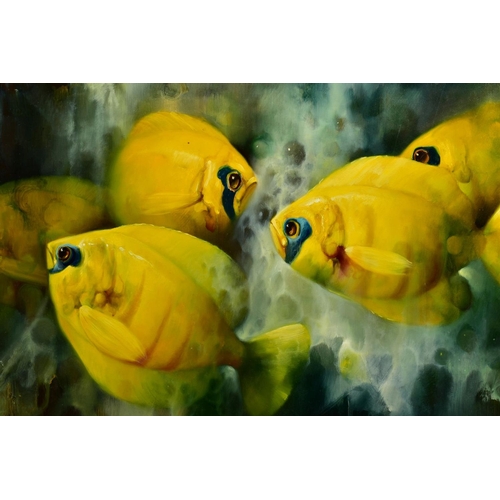 311 - JOSE MANUEL REYES (SPANISH 1963) 'TRANQUILITY VI', masked butterfly fish underwater, signed bottom r... 