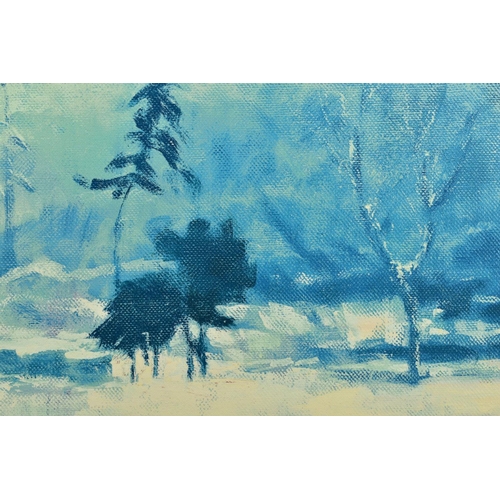 322 - ROLF HARRIS (AUSTRALIAN 1930) 'SNOW ON MARSHY GROUND', a limited edition print 50/195, signed bottom... 