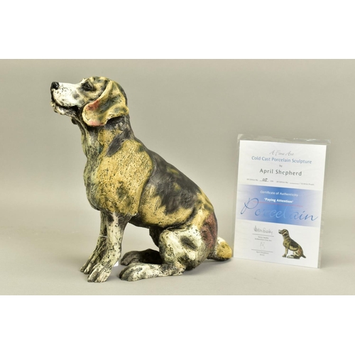 326 - APRIL SHEPHERD (BRITISH CONTEMPORARY) 'Paying Attention', a limited edition cold cast porcelain scul... 