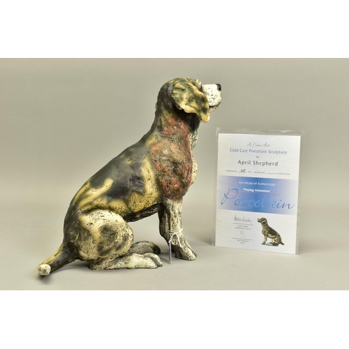 326 - APRIL SHEPHERD (BRITISH CONTEMPORARY) 'Paying Attention', a limited edition cold cast porcelain scul... 