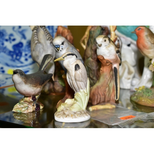 352 - EIGHT CROWN STAFFORDSHIRE/CROWN STAFFS BIRD FIGURES AND A BESWICK WHITETHROAT, model No2106, chipped... 