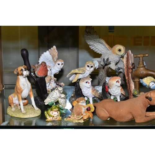 368 - A GROUP OF BIRD AND ANIMAL SCULPTURES, ETC, to include Border Fine Arts Barn Owl style five WB03, Co... 