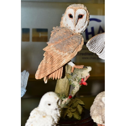 368 - A GROUP OF BIRD AND ANIMAL SCULPTURES, ETC, to include Border Fine Arts Barn Owl style five WB03, Co... 