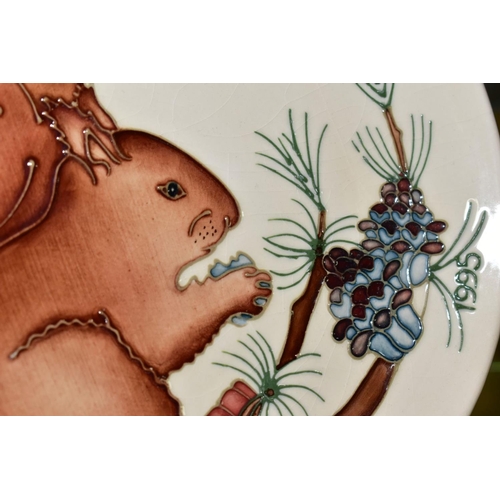 370 - A MOORCROFT POTTERY LIMITED EDITION YEAR PLATE, 1995, Squirrel pattern, No 132/500, diameter 22cm (s... 