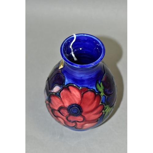 520 - A MOORCROFT POTTERY VASE, 'Anemone' pattern on blue ground, impressed backstamp and painted signatur... 