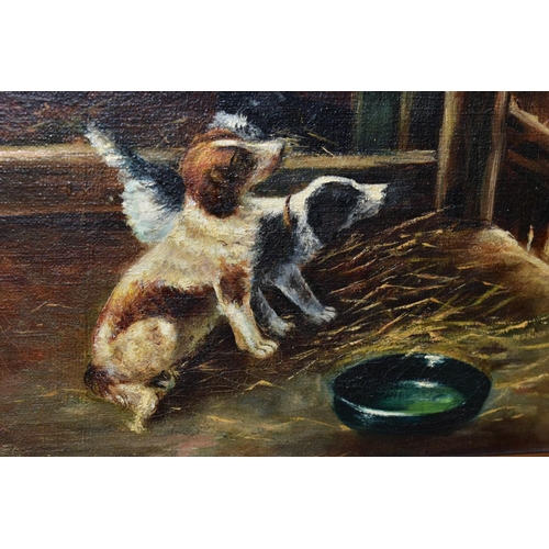 603 - ATTRIBUTED TO S.A. MORDECAI, late 19th/early 20th Century Terrier dogs waiting in a barn, indistinct... 