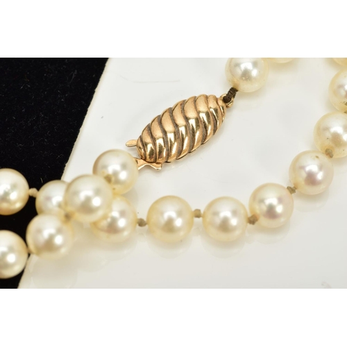 71 - A CULTURED PEARL NECKLACE, each circular pearl measuring approximately 7.0mm, on a white cord fitted... 