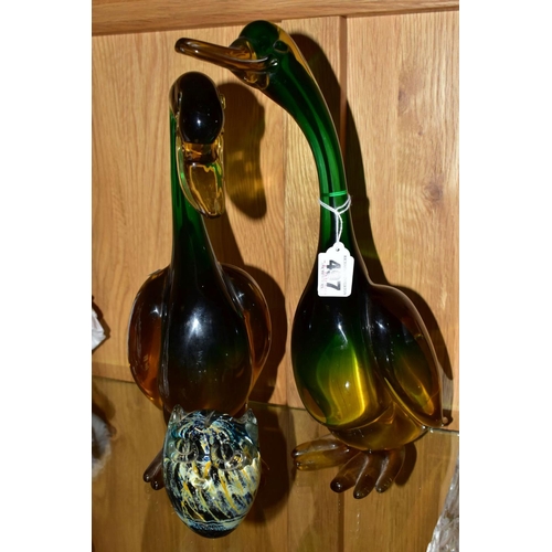 497 - TWO MURANO GLASS DUCKS, one extending neck, height 33.5cm, the other with head bowed, height 30.5cm,... 