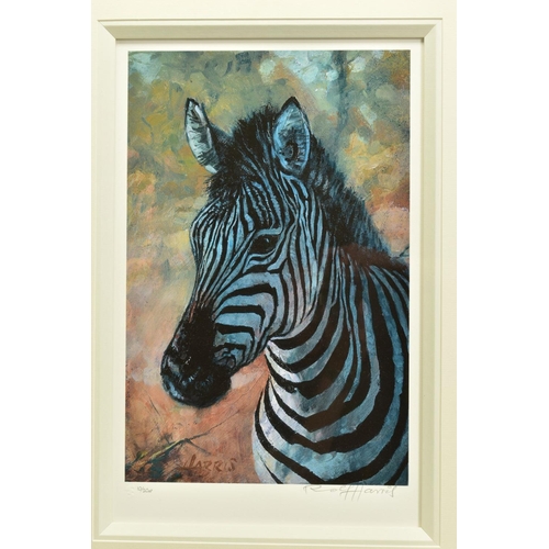 305 - ROLF HARRIS (AUSTRALIAN 1930) 'YOUNG ZEBRA', a limited edition artist's proof print, 10/20, signed t... 