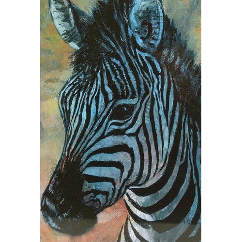 305 - ROLF HARRIS (AUSTRALIAN 1930) 'YOUNG ZEBRA', a limited edition artist's proof print, 10/20, signed t... 