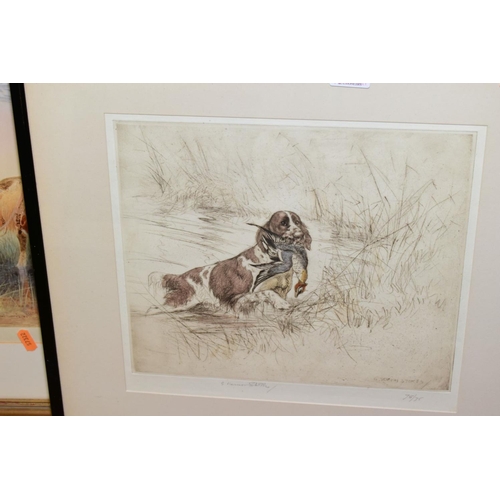 334 - GEORGE VERNON STOKES (1873-1954), 'Springer Spaniel retrieving Teal', a dry point etching, 75/75, si... 