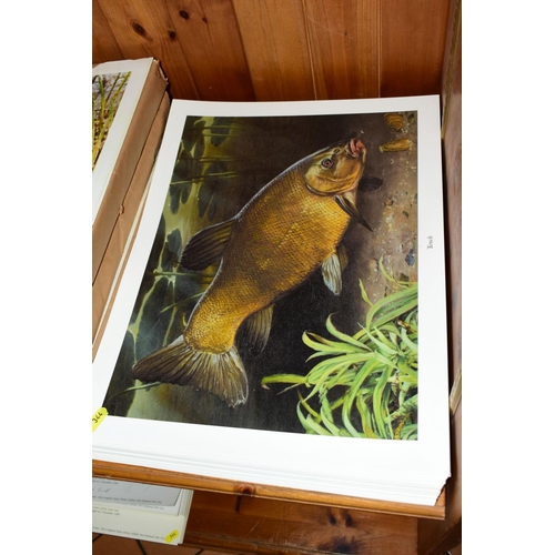 344 - SEVERAL HUNDRED FISH THEMED PRINTS, to include 'British Record Barbel' by Garry Cartwright, with app... 