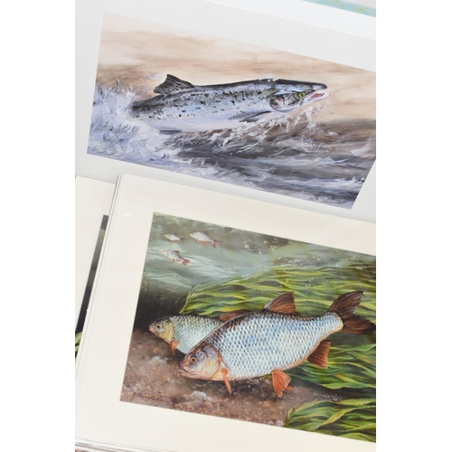 350 - FISH AND MARINE LIFE RELATED PRINTS, to include limited editions, artists include K. Vaudin, Chris T... 