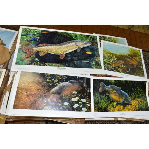 555 - SEVERAL HUNDRED FISH RELATED PRINTS FEATURING CARP AND PIKE, comprising 'Basil', 'the Magic of Mary'... 