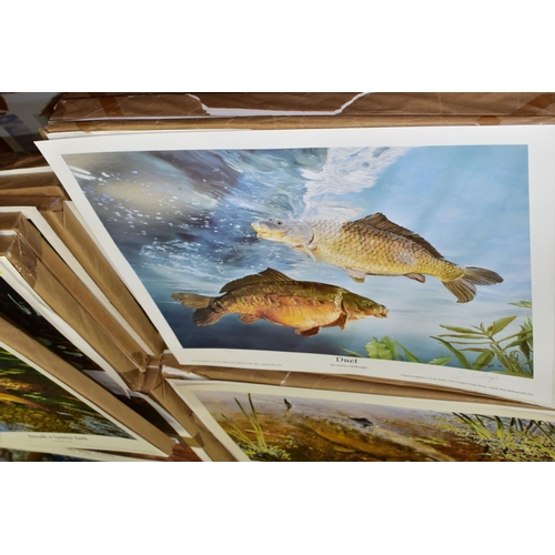 557 - SEVERAL HUNDRED FISH RELATED PRINTS DEPICTING CARP, PIKE AND BARBEL, comprising 'Stalking The Margin... 