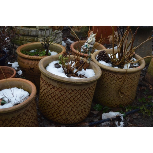 1009 - TEN GARDEN PLANT POTS including five similar ( largest diameter 37cm ), four Terracotta and one glaz... 