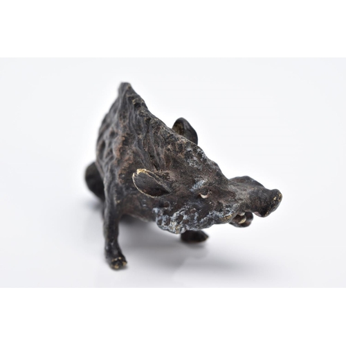 26 - A BERGMAN BRONZE SCULPTURE OF A BOAR, painted bronze figure, approximate height 3.5cm, approximate g... 