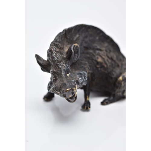 26 - A BERGMAN BRONZE SCULPTURE OF A BOAR, painted bronze figure, approximate height 3.5cm, approximate g... 