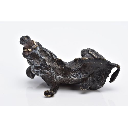 26 - A BERGMAN BRONZE SCULPTURE OF A BOAR, painted bronze figure, approximate height 3.5cm, approximate g... 