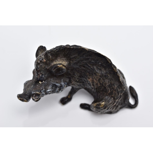 26 - A BERGMAN BRONZE SCULPTURE OF A BOAR, painted bronze figure, approximate height 3.5cm, approximate g... 