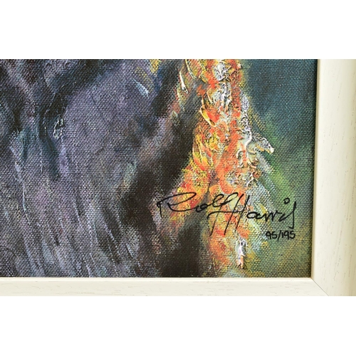 302 - ROLF HARRIS (AUSTRALIA 1930) 'TIGER IN THE SUN' a limited edition 95/195, signed bottom right with c... 