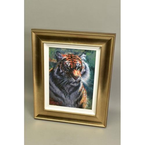 302 - ROLF HARRIS (AUSTRALIA 1930) 'TIGER IN THE SUN' a limited edition 95/195, signed bottom right with c... 