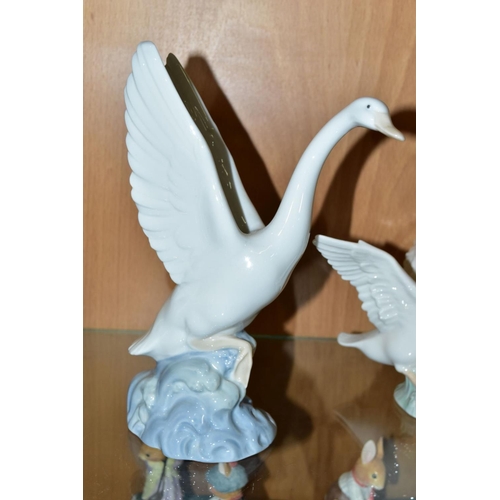 338 - A SMALL GROUP OF LLADRO AND NAO comprising Lladro Duck taking flight No1264 and mini Seal Family No ... 