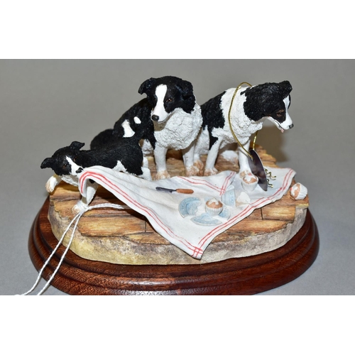 341 - THREE BOXED BORDER FINE ARTS SCULPTURES, 'Our Nell' (Border Collies) B0853 (signed to base Ray Ayres... 