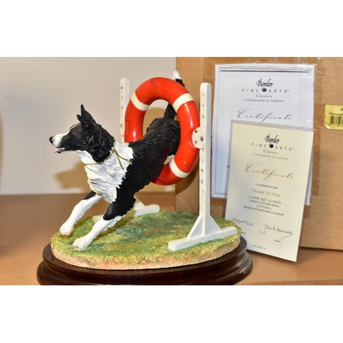 343 - A BOXED LIMITED EDITION BORDER FINE ARTS CLASSIC SCULPTURE, 'Through the Hoop' (Border Collie) B0953... 