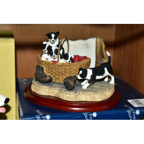 357 - FIVE BOXED BORDER FINE ARTS STUDIO SCULPTURES, comprising Border Collie, seated style four, A2087 an... 