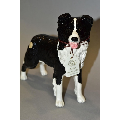 357 - FIVE BOXED BORDER FINE ARTS STUDIO SCULPTURES, comprising Border Collie, seated style four, A2087 an... 