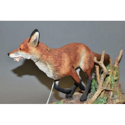 383 - A LIMITED EDITION BORDER FINE ARTS SCULPTURE, 'Breaking Cover' (fox), B0839 modelled by Ray Ayres No... 