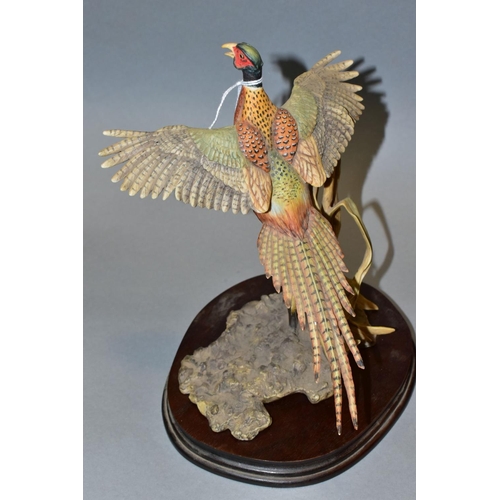 405 - A BORDER FINE ARTS SCULPTURE 'Rising Pheasant' L46, modelled by F Falco from Birds by Frank Falco