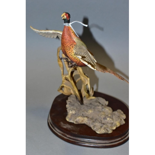 405 - A BORDER FINE ARTS SCULPTURE 'Rising Pheasant' L46, modelled by F Falco from Birds by Frank Falco