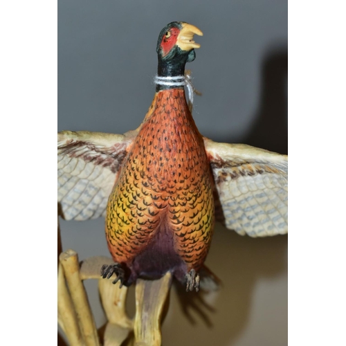 405 - A BORDER FINE ARTS SCULPTURE 'Rising Pheasant' L46, modelled by F Falco from Birds by Frank Falco