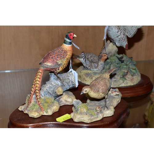 408 - THREE BORDER FINE ARTS SCULPTURES, 'Cock Pheasant' R821 and 'Hen Pheasant and chicks' RB22, both by ... 