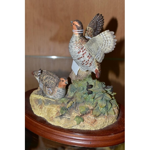 408 - THREE BORDER FINE ARTS SCULPTURES, 'Cock Pheasant' R821 and 'Hen Pheasant and chicks' RB22, both by ... 