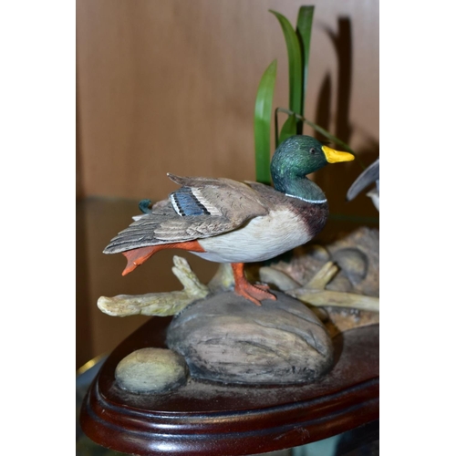 409 - A LIMITED EDITION BORDER FINE ARTS SCULPTURE, 'Sunny Afternoon' (ducks) A1872, modelled by Richard R... 