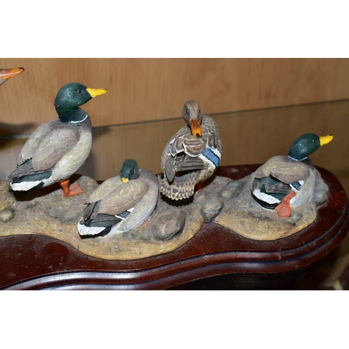 409 - A LIMITED EDITION BORDER FINE ARTS SCULPTURE, 'Sunny Afternoon' (ducks) A1872, modelled by Richard R... 