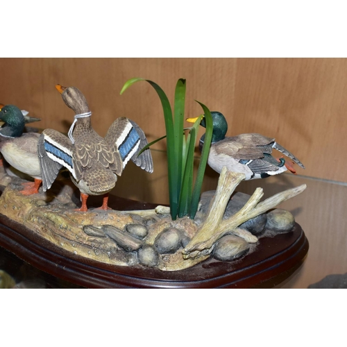 409 - A LIMITED EDITION BORDER FINE ARTS SCULPTURE, 'Sunny Afternoon' (ducks) A1872, modelled by Richard R... 